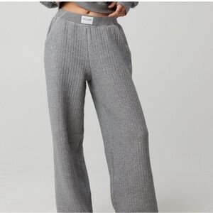 NWT OFFLINE by Aerie Coffee Run Trouser